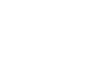 account inquiry icon
