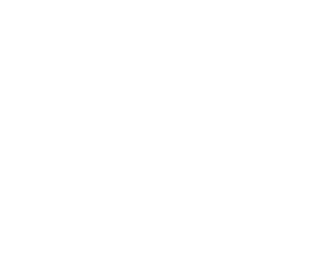 document request icon