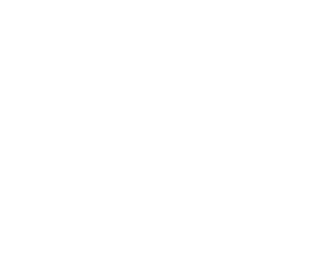 pool icon