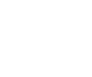 portal icon