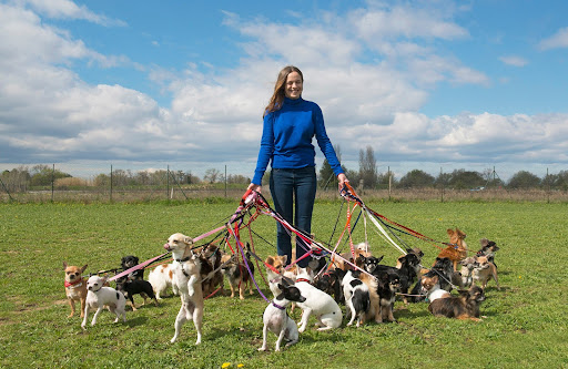 woman with many dogs | pet restriction in HOA