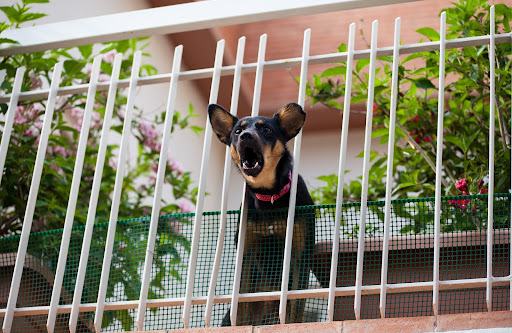 barking dog | pet restriction in HOA