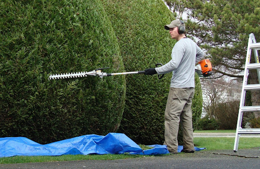 trimming plants | mixed use community