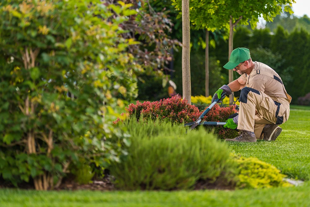 landscape expert | hoa landscaping