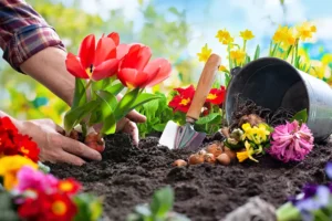 gardening | hoa garden rules