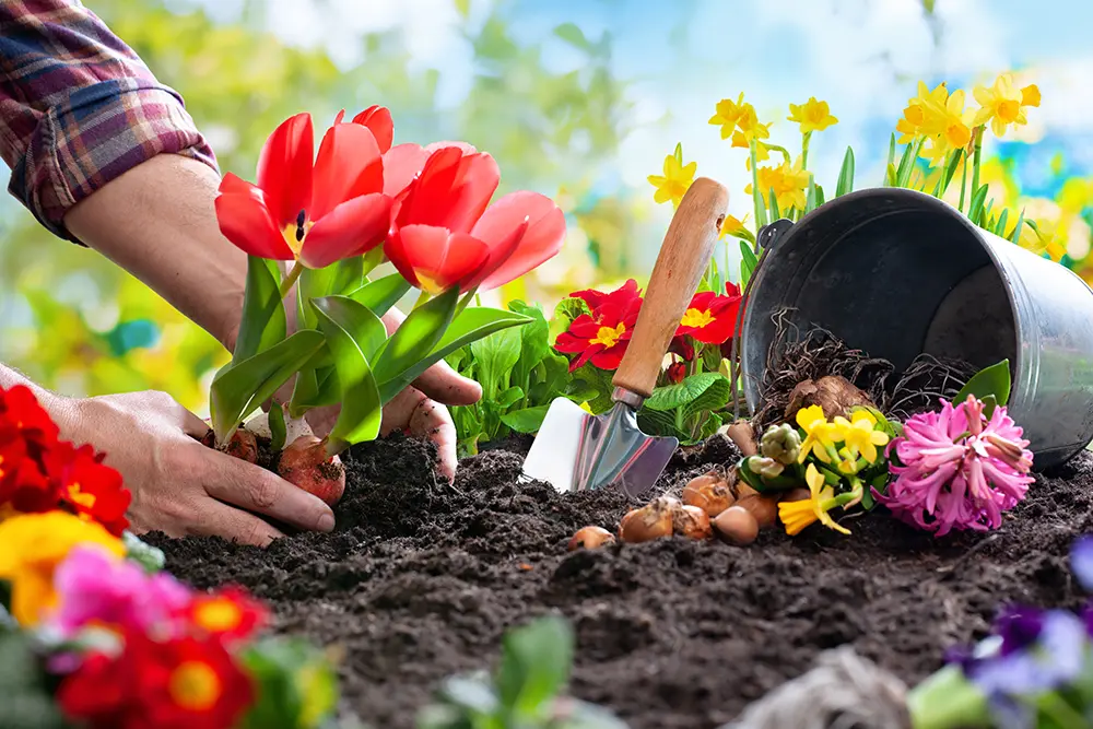 gardening | hoa garden rules
