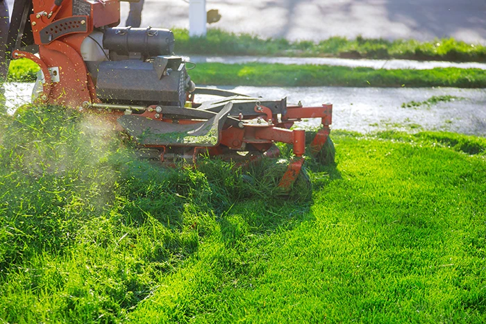 grass cutting | hoa mow vacant lots